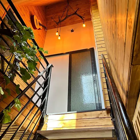 A-frame Bran * Sohodol (Brasov)