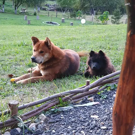 A-frame Bran Sohodol (Brasov)