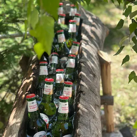 木屋 A-frame Bran Sohodol (Brasov)